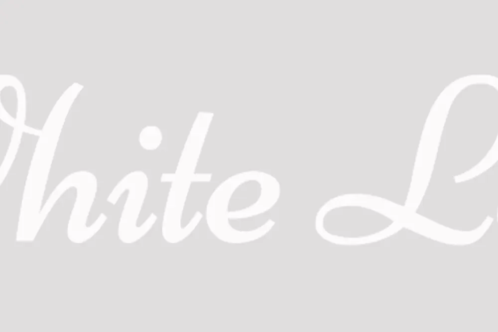 White Lace Wedding Videos