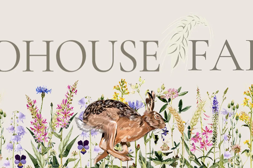 Oddhouse Farm - Wedding & Events Venue